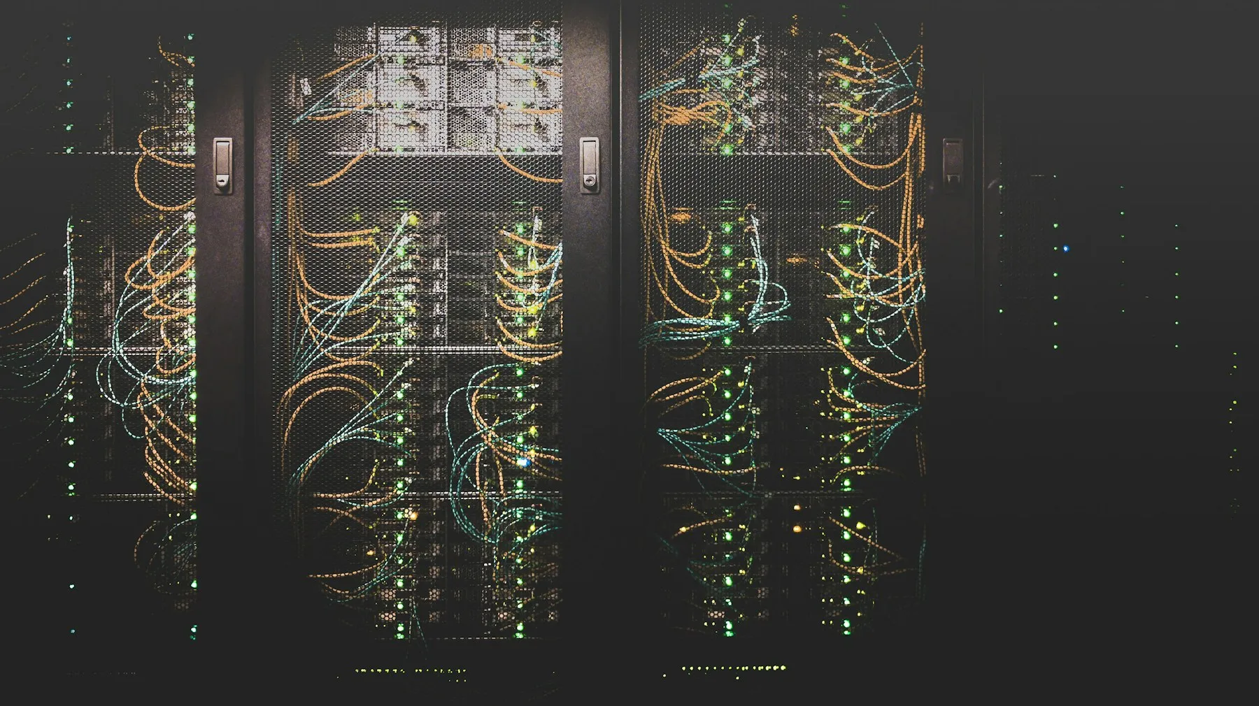 A close view of network cabling
